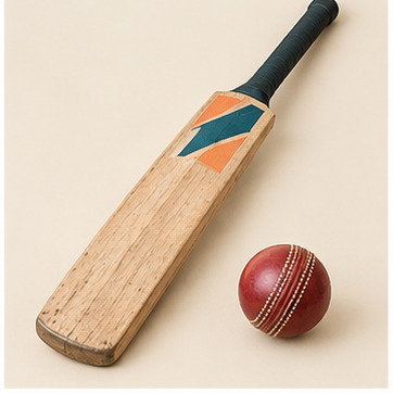Cricket Bat and Ball (Demo Post)